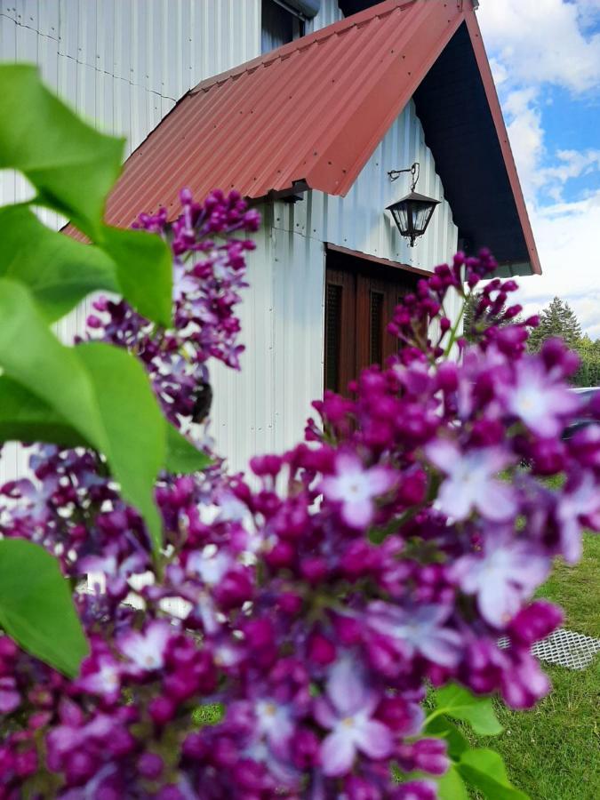 Vikendica Borje Villa ชาเบลียค ภายนอก รูปภาพ